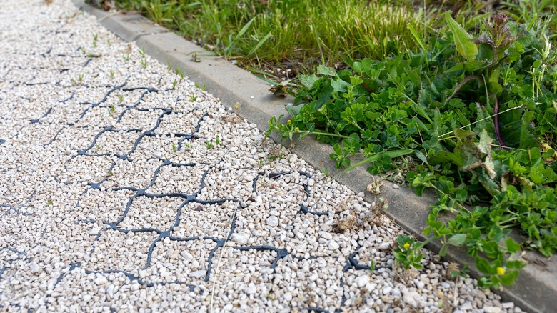 Edge of a gravel driveway with a grid system