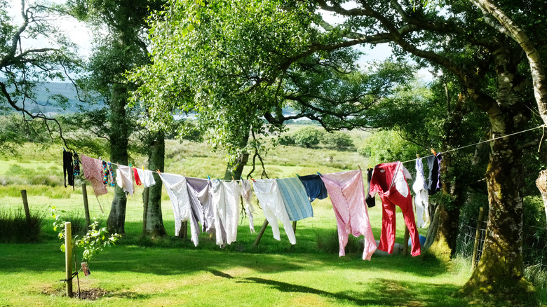 Clothes drying on a clothesline