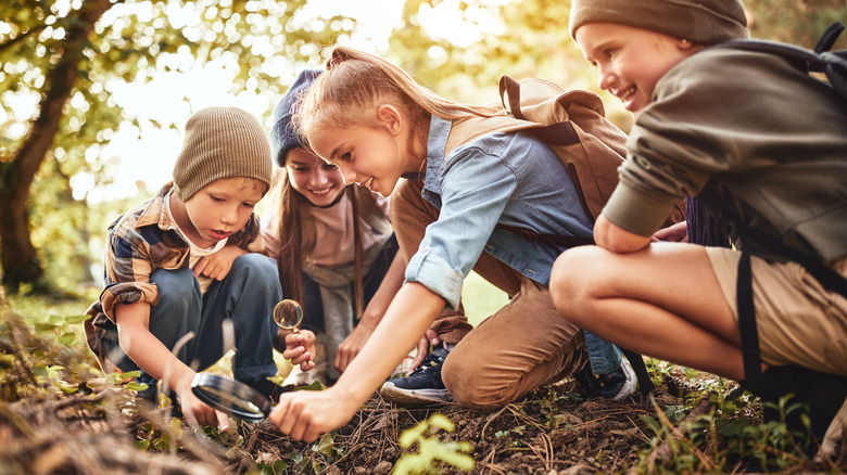 Kids looking into brush pile