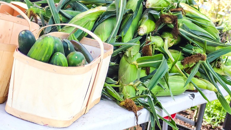 Corn and cucumbers from garden