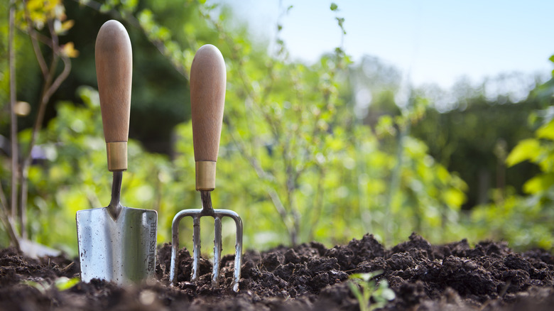 Gardening tools upright in soil