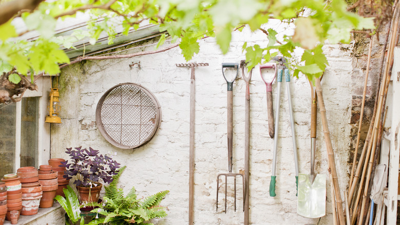 Outdoor shed exterior with gardening tools