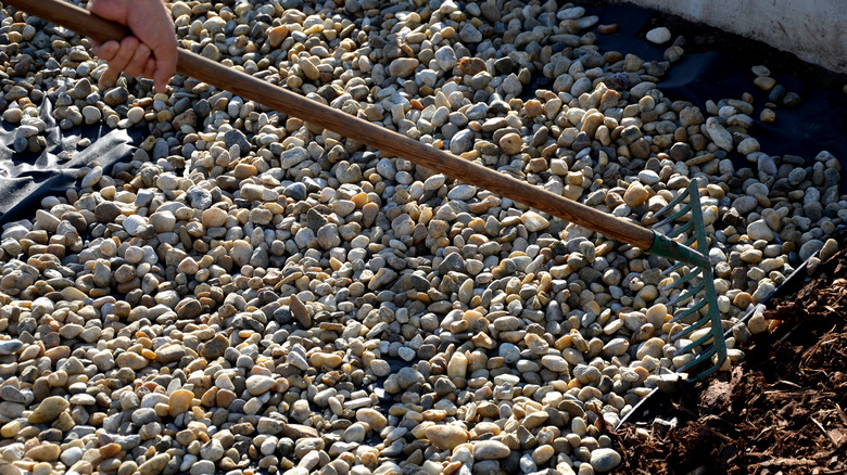 Hand raking gravels for lawn