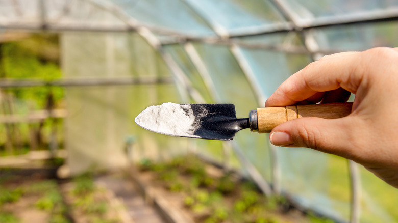 Hand holding baking soda trowel 