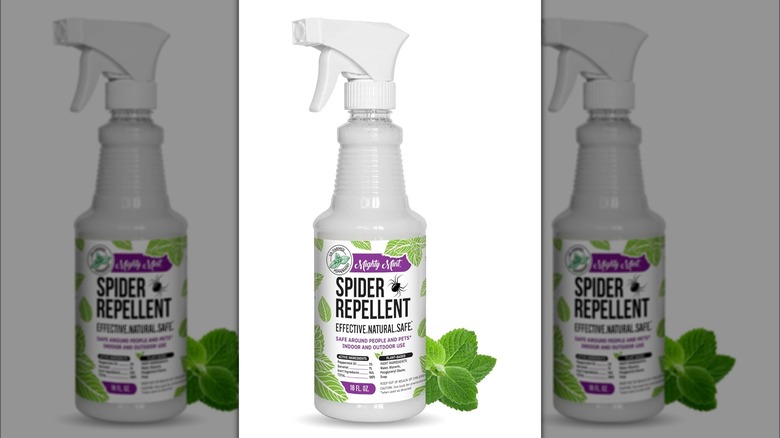 Mighty Mint spider repellent