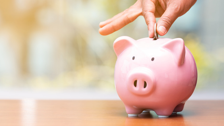 person putting money in piggy bank