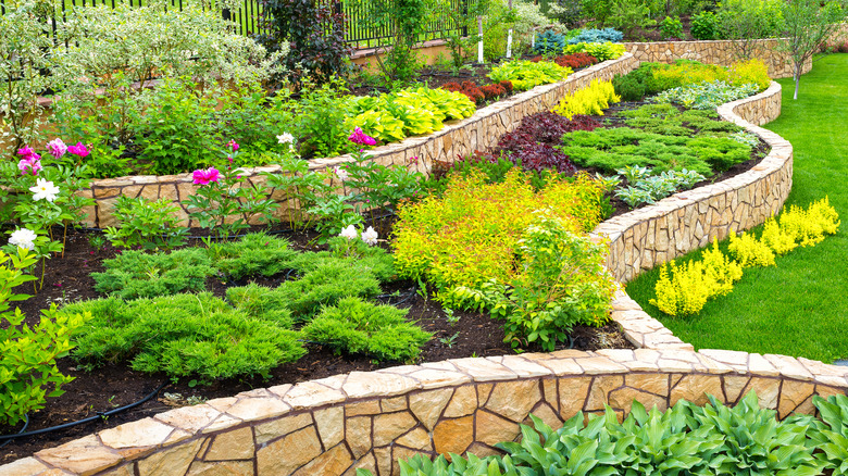 beautifully landscaped garden with walls