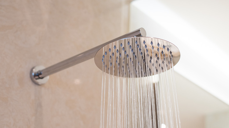 Chrome shower head 