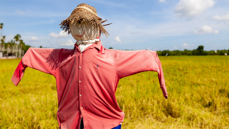 A scarecrow with a straw hat and red shirt