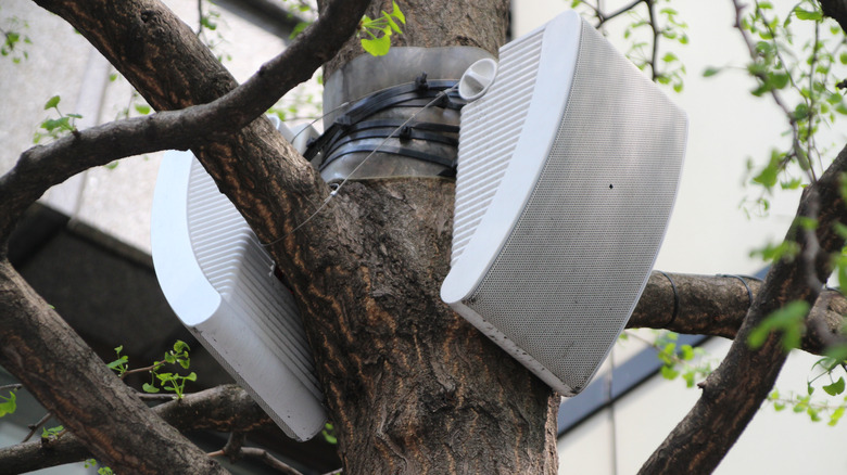a speaker system secured to a tree