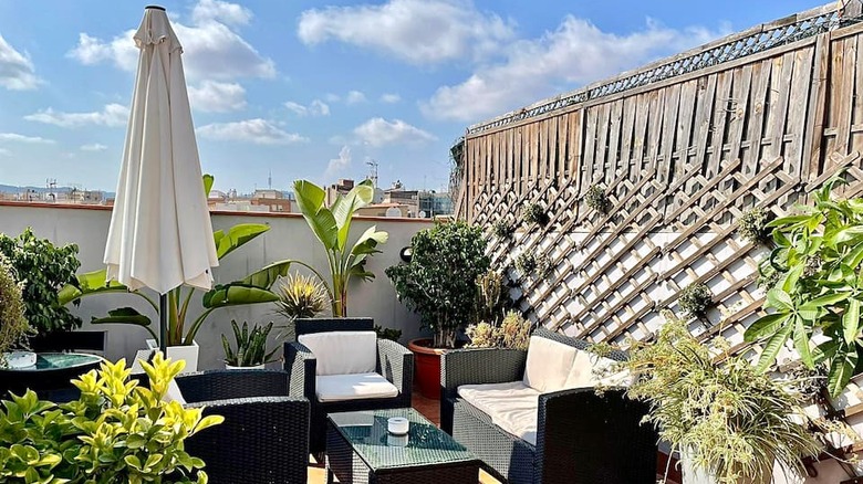 rooftop with plants and couches 