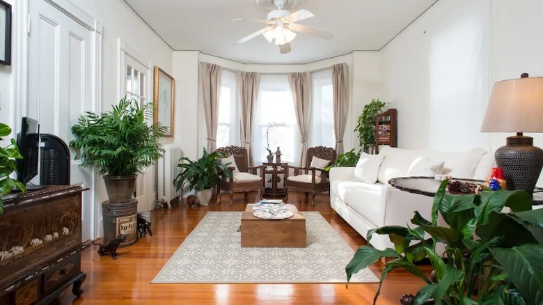 stylish living room with plants