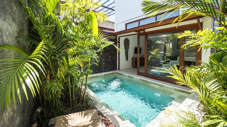 pool surrounded by lush greenery