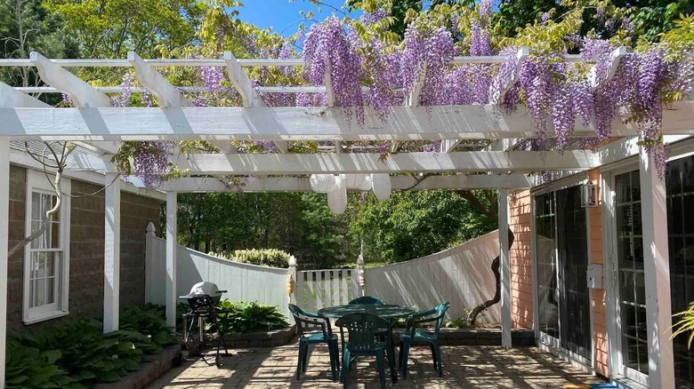 outdoor patio with purple flowers 