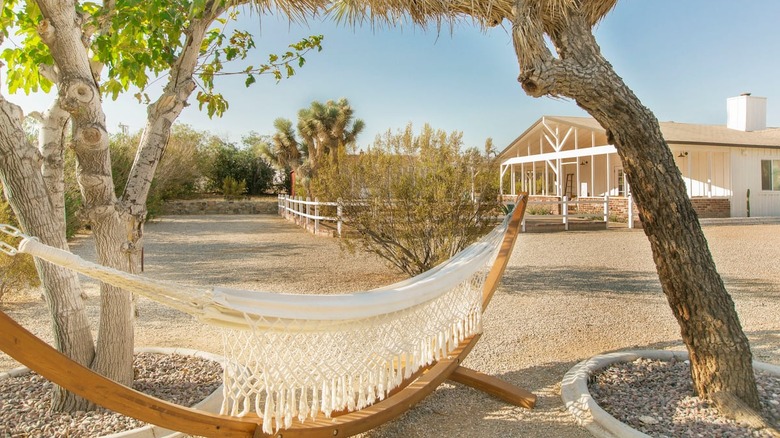 The Habibi House hammock and Joshua trees 