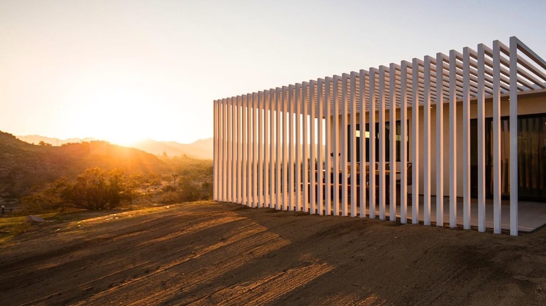 The Zebra Shadow house at golden hour