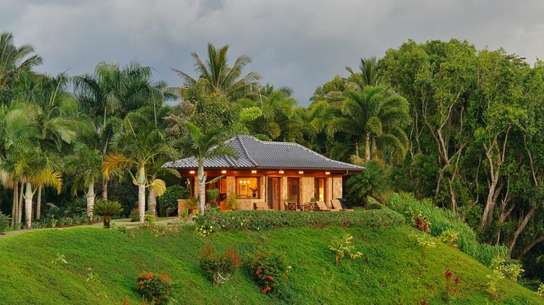 house on a green hill