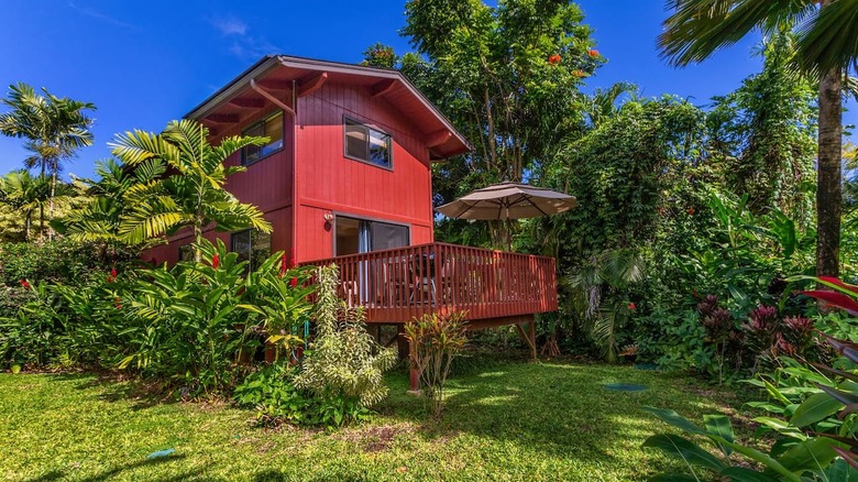 red house surrounded by trees