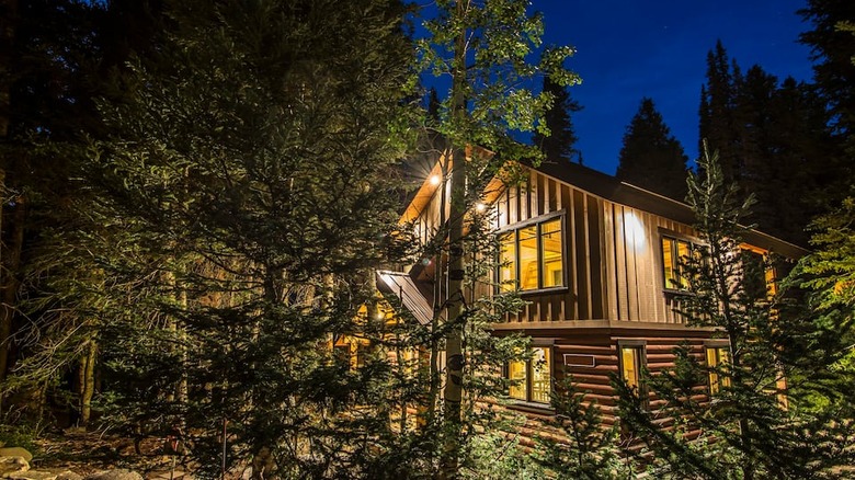 cabin at night in trees