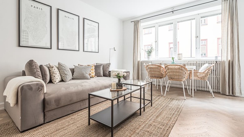 neutral living room with couch