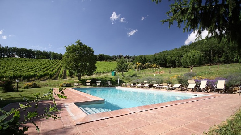 swimming pool in green vineyard 