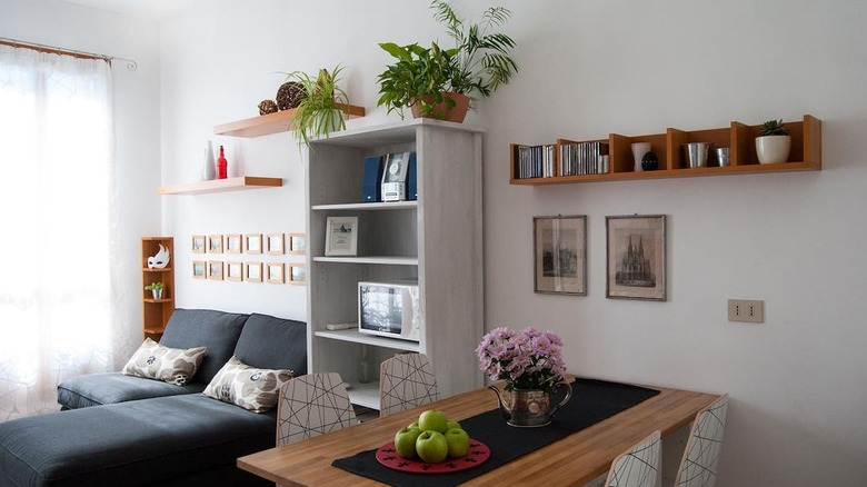 modern living room with plants