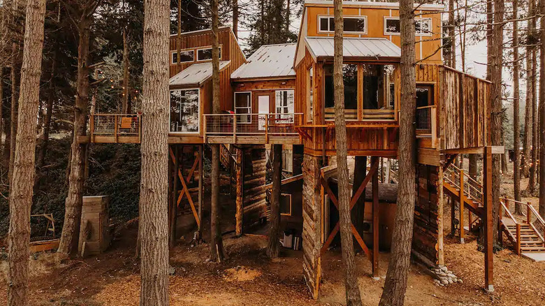 treehouse style cabin in woods