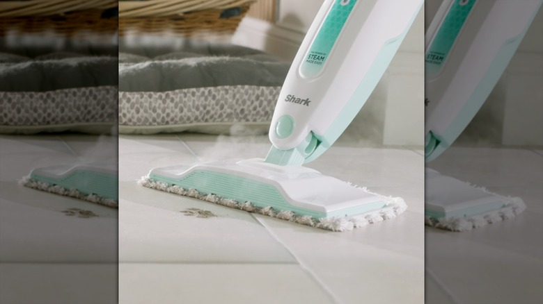 Shark Steam Mop cleaning muddy paw prints off tile floor