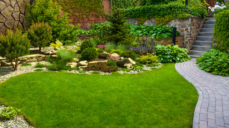 A lush green backyard space