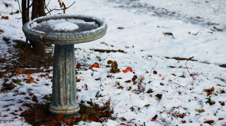 A concrete bird bath with frozen water in the snow