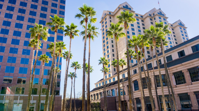 san jose downtown skyscrapers