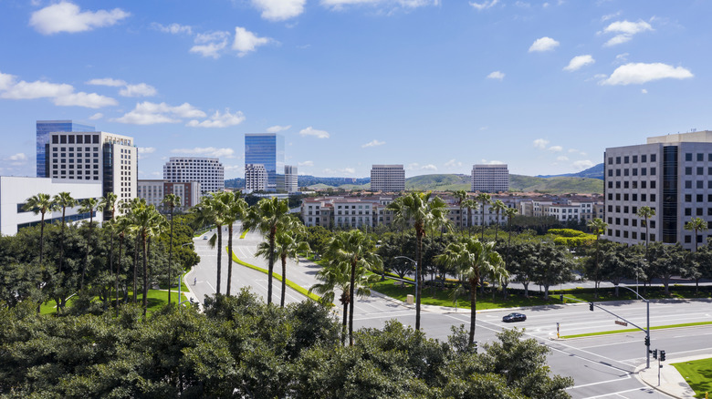 Irvine california skyline palm trees