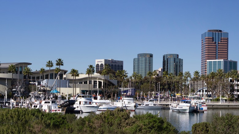 long beach harbor and cityscape