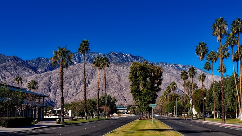 palm springs suburban neighborhood