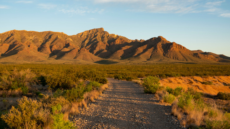 gravel road near Franklin Mountains