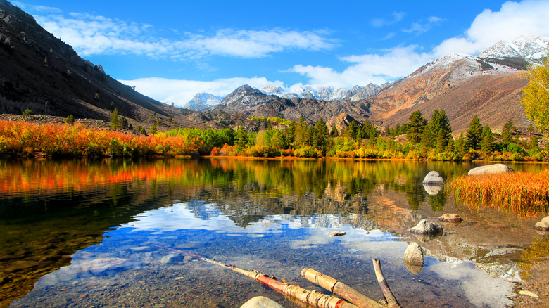 sabrina lake bishop california