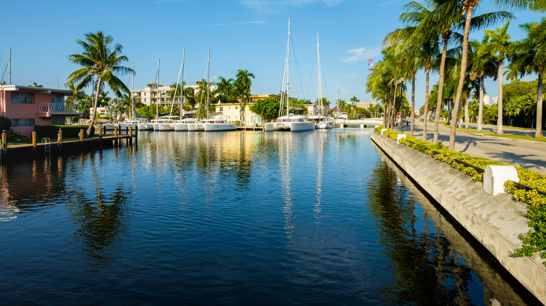 Boat-filled Intercoastal Waterway