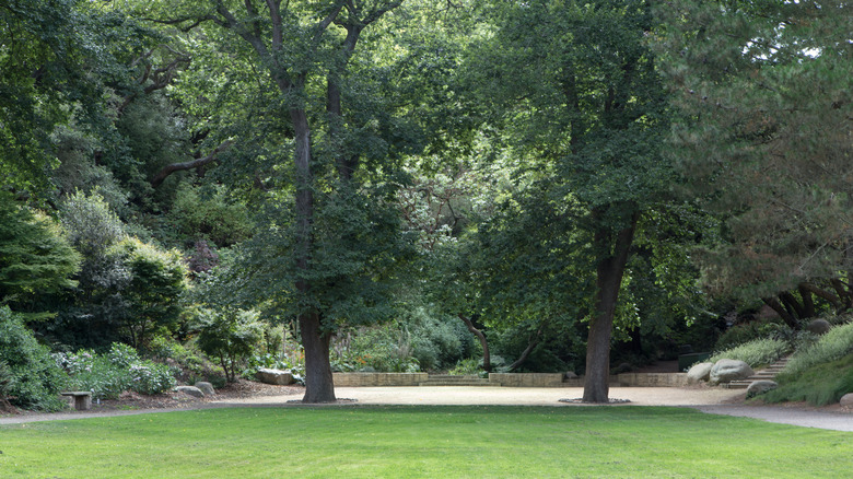 AIDS Memorial Grove