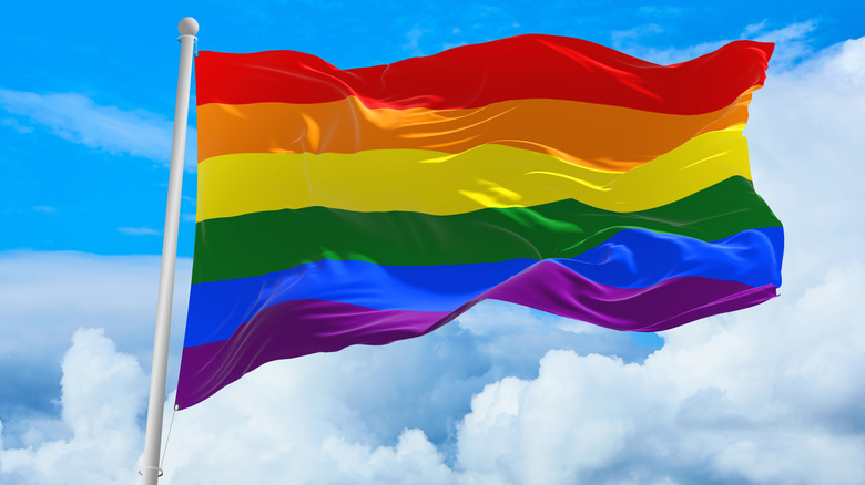 Rainbow flag