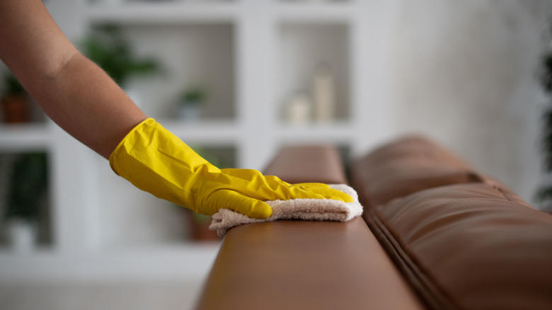 person cleaning leather couch