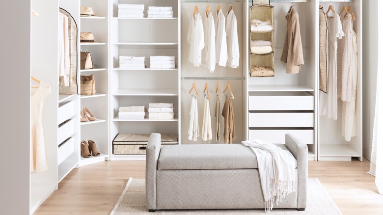 luxury closet with white walls