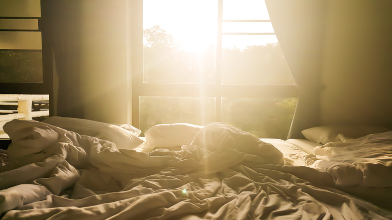 sunlight shining on bed