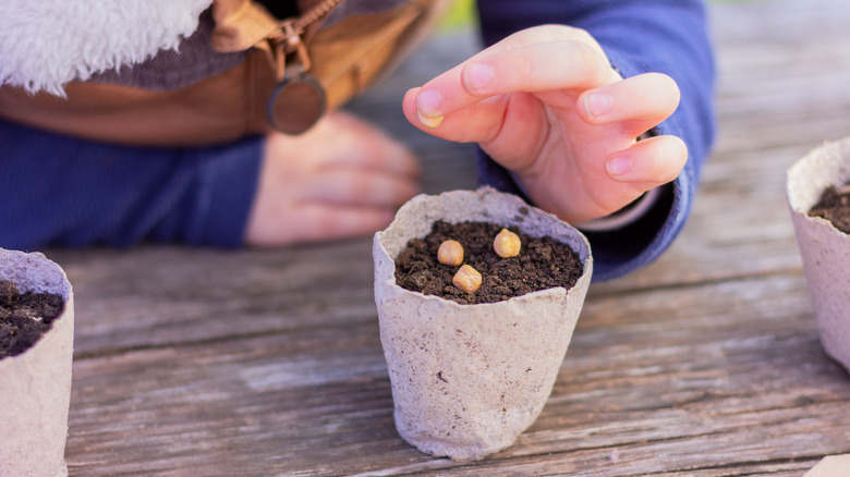 child planting seeds