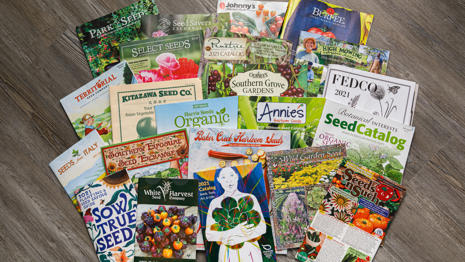 The Best Companies To Buy Your Garden Seeds From