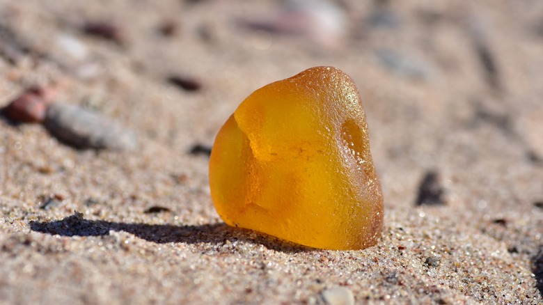 amber in the sand