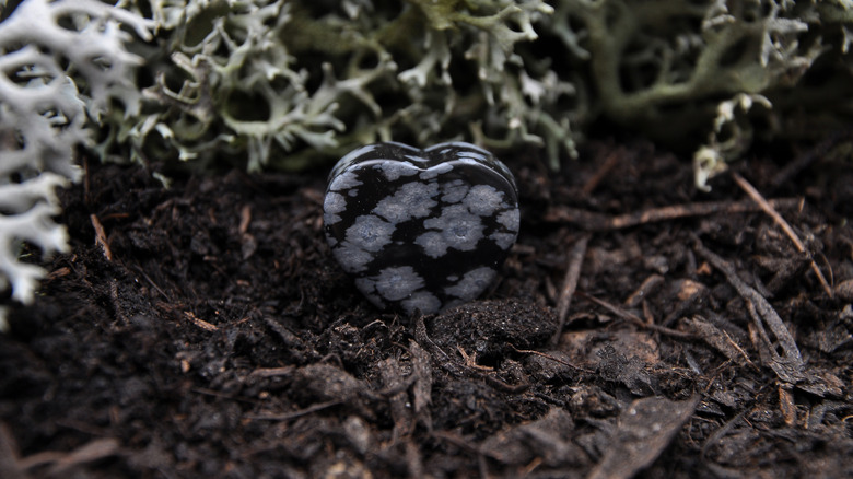 Snowflake obsidian with plant