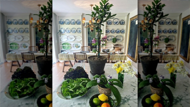 Dining room with flowers