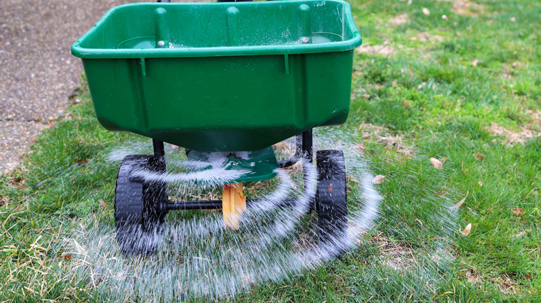 spreader throwing grass seed