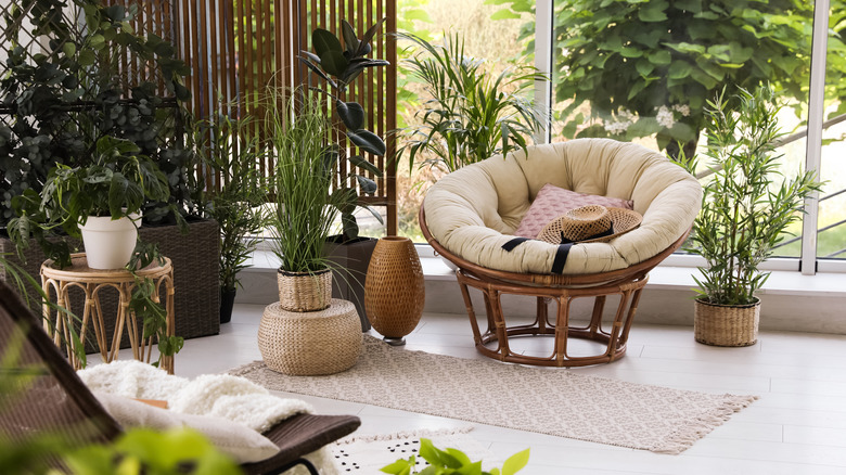 Papasan chair among plants on a terrace.