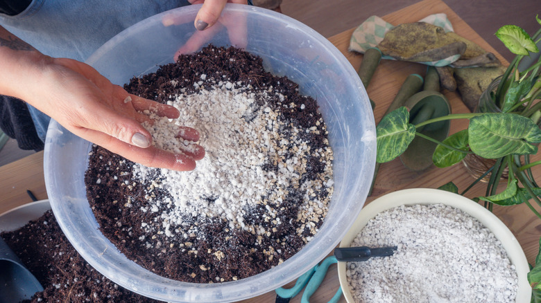 A plant enthusiast mixes perlite into potting soil in a large bowl.